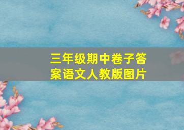 三年级期中卷子答案语文人教版图片