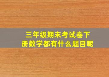 三年级期末考试卷下册数学都有什么题目呢