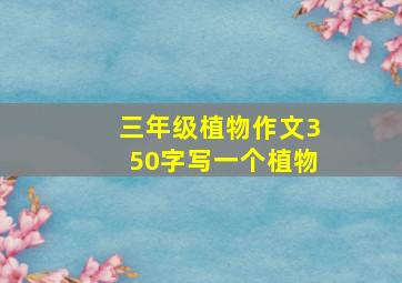 三年级植物作文350字写一个植物