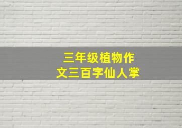 三年级植物作文三百字仙人掌