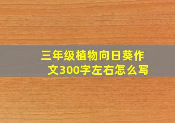 三年级植物向日葵作文300字左右怎么写