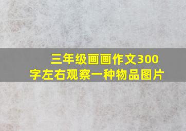 三年级画画作文300字左右观察一种物品图片