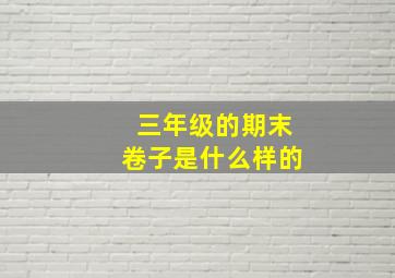 三年级的期末卷子是什么样的