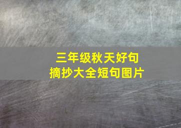 三年级秋天好句摘抄大全短句图片