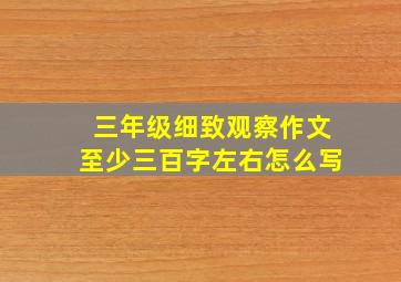 三年级细致观察作文至少三百字左右怎么写