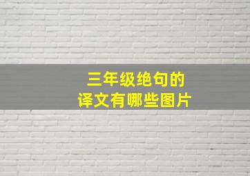 三年级绝句的译文有哪些图片