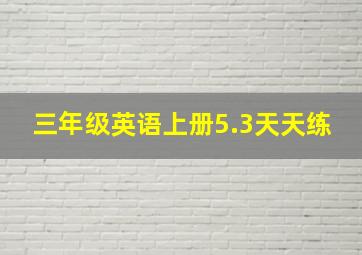 三年级英语上册5.3天天练