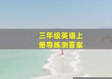 三年级英语上册导练测答案