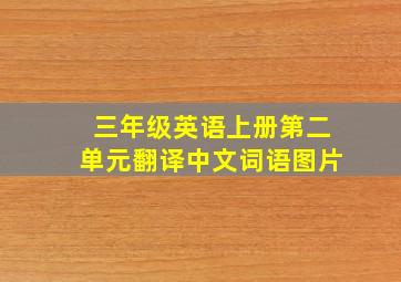 三年级英语上册第二单元翻译中文词语图片