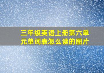 三年级英语上册第六单元单词表怎么读的图片