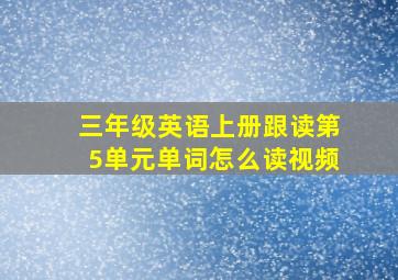 三年级英语上册跟读第5单元单词怎么读视频