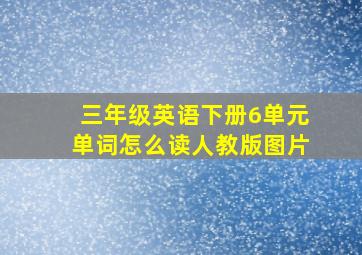 三年级英语下册6单元单词怎么读人教版图片