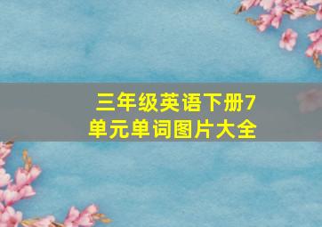 三年级英语下册7单元单词图片大全