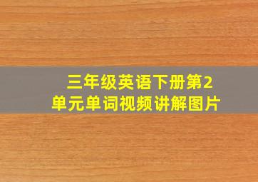 三年级英语下册第2单元单词视频讲解图片