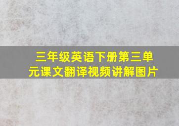 三年级英语下册第三单元课文翻译视频讲解图片