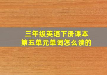 三年级英语下册课本第五单元单词怎么读的