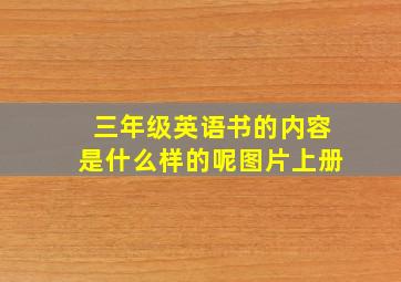 三年级英语书的内容是什么样的呢图片上册