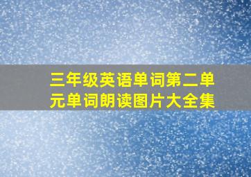 三年级英语单词第二单元单词朗读图片大全集