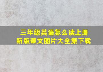 三年级英语怎么读上册新版课文图片大全集下载