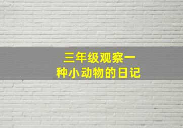 三年级观察一种小动物的日记