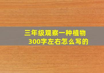 三年级观察一种植物300字左右怎么写的