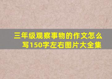 三年级观察事物的作文怎么写150字左右图片大全集