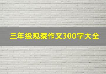 三年级观察作文300字大全