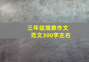 三年级观察作文范文300字左右