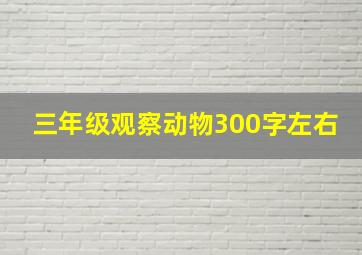 三年级观察动物300字左右