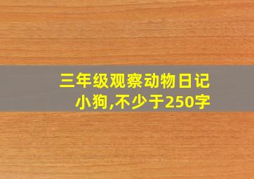 三年级观察动物日记小狗,不少于250字