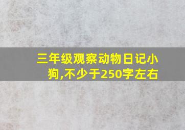 三年级观察动物日记小狗,不少于250字左右