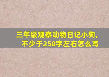 三年级观察动物日记小狗,不少于250字左右怎么写