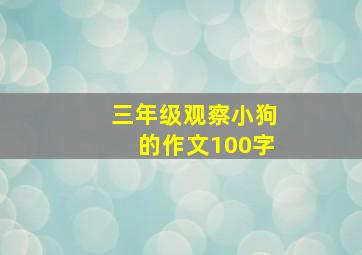 三年级观察小狗的作文100字