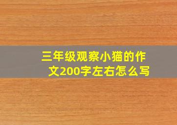 三年级观察小猫的作文200字左右怎么写