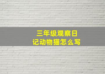 三年级观察日记动物猫怎么写