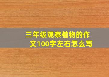 三年级观察植物的作文100字左右怎么写