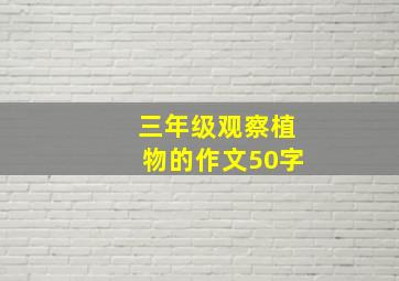 三年级观察植物的作文50字