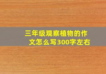 三年级观察植物的作文怎么写300字左右