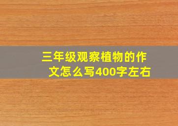 三年级观察植物的作文怎么写400字左右