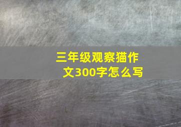 三年级观察猫作文300字怎么写