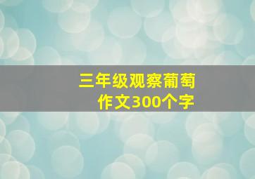 三年级观察葡萄作文300个字