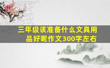 三年级该准备什么文具用品好呢作文300字左右