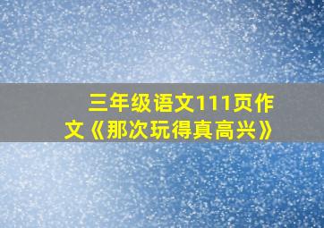 三年级语文111页作文《那次玩得真高兴》