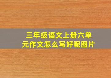 三年级语文上册六单元作文怎么写好呢图片