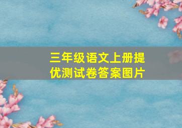 三年级语文上册提优测试卷答案图片