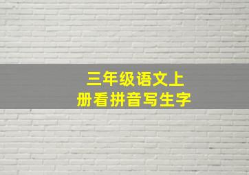 三年级语文上册看拼音写生字