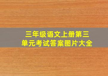 三年级语文上册第三单元考试答案图片大全