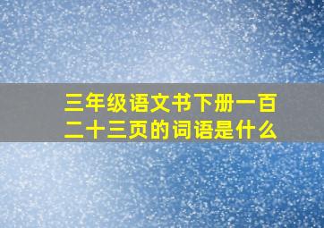 三年级语文书下册一百二十三页的词语是什么