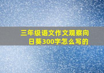 三年级语文作文观察向日葵300字怎么写的