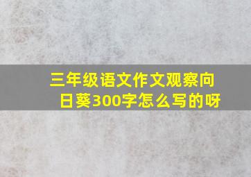 三年级语文作文观察向日葵300字怎么写的呀